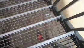 그레이트 계단 걸음